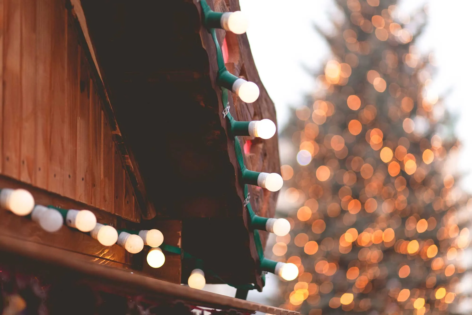 Home decorated with Christmas tree lights and seasonal lighting.