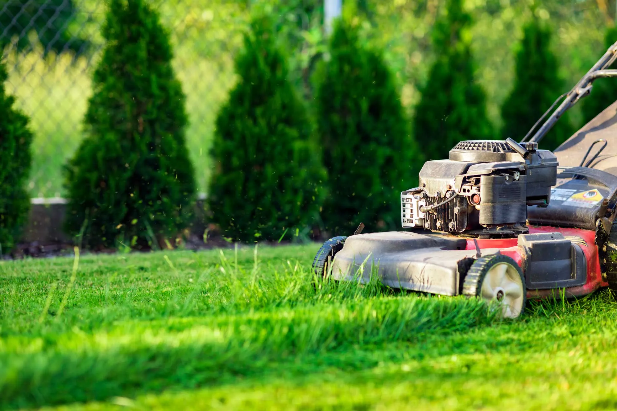 Lawn mower cutting a yard