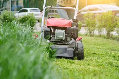 Lawn mower cutting grass in residential yard.