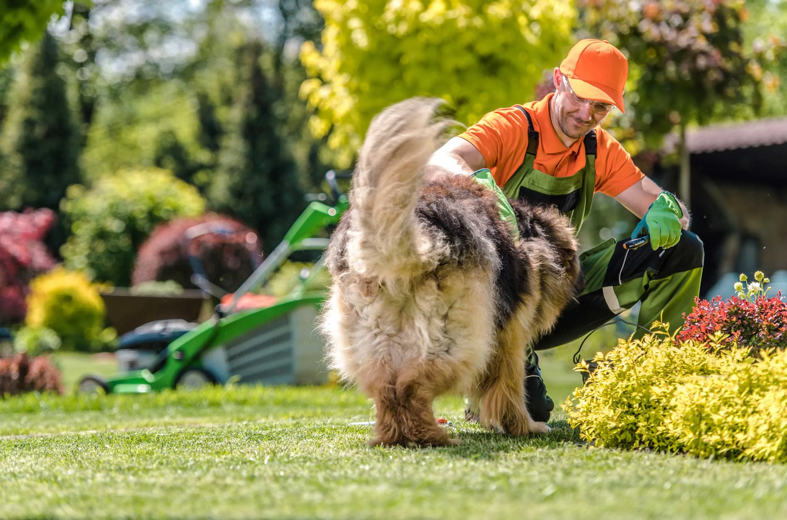 Man standing with his dog in a green backyard.